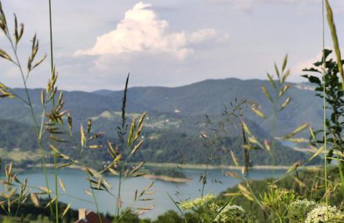 Bajina Basta Apartment | Tarska kuća za odmor