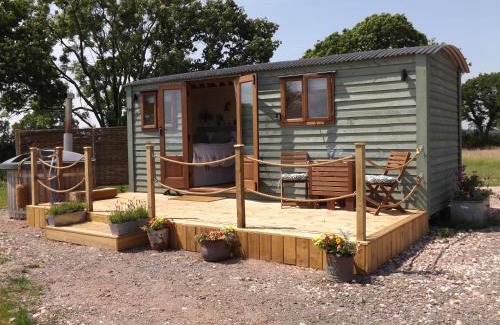 Crediton House | Tawny