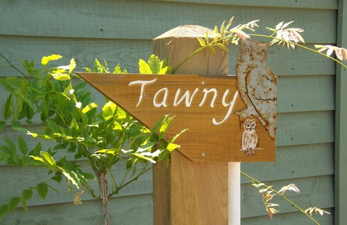Crediton Cottage | Tawny