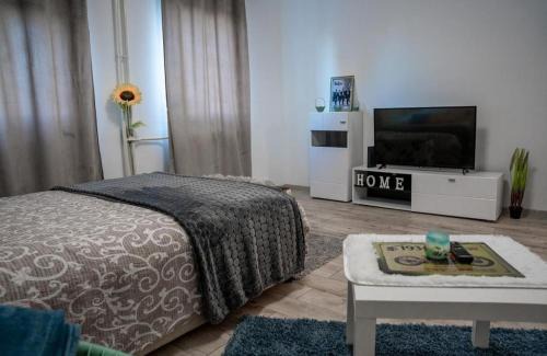 Central Serbia Apartment | Tea Apartman Obrenovac