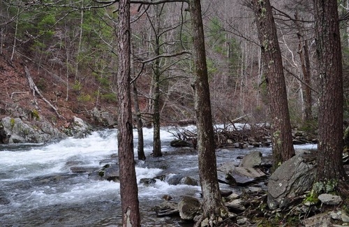 Tellico Plains Cabin | Tellico cabins, Deer Cabin With Hot Tub