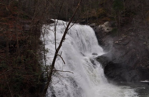 Tellico Plains Cabin | Tellico cabins, Deer Cabin With Hot Tub
