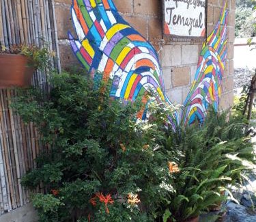 Santo Domingo Hotel | Temazcal casa gema