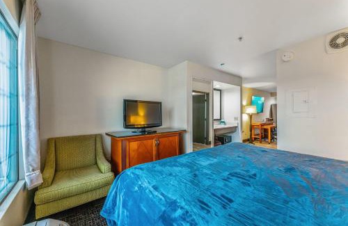 Tempe Apartment | Tempe Apt sleeps 4