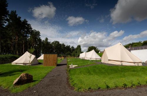 Ford Other | Tent 3