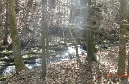 Lookout Mountain RV Rental | Tentrr Signature Site - Mountain Holler Campsite