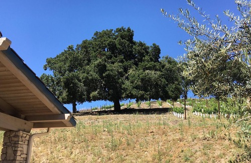 Paso Robles RV Rental | Tentrr Signature Site - Vineyard Glamping - Coleman Outfitted Site
