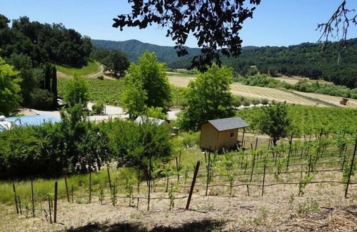 Paso Robles RV Rental | Tentrr Signature Site - Vineyard Glamping - Coleman Outfitted Site