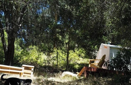 Paso Robles RV Rental | Tentrr Signature Site - Vineyard Glamping - Coleman Outfitted Site