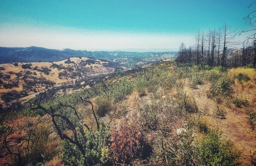 Santa Rosa RV Rental | Tentrr Signature Site - Mystic Mountain Petrified Camp