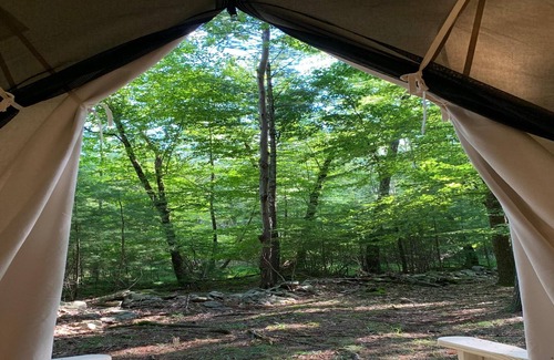Mount Marion RV Rental | Tentrr Signature Site - Highwoods two