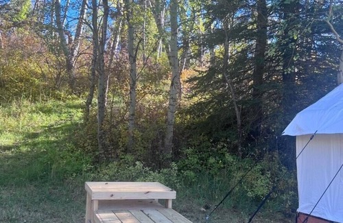 Bozeman RV Rental | Tentrr Signature Site - Bear Canyon Bliss