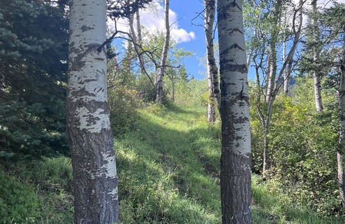 Bozeman RV Rental | Tentrr Signature Site - Bear Canyon Bliss
