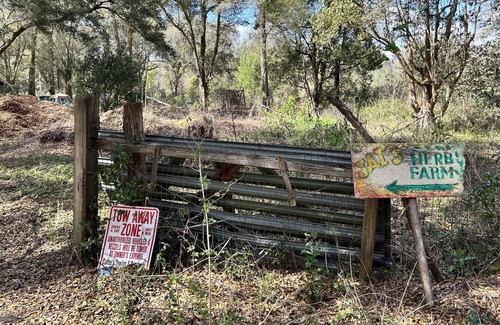 Candler RV Rental | Tentrr Signature Site - Glamping near the Springs in Ocala JAI Jungle Permacultu