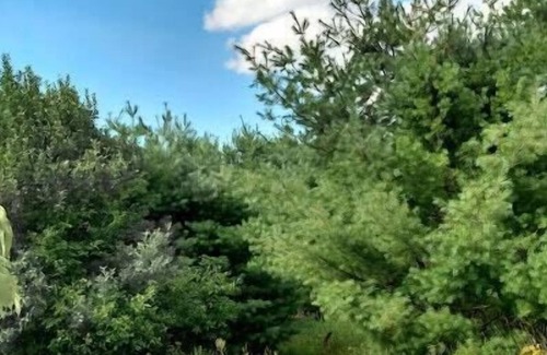 Sunday River Area RV Rental | Tentrr Signature Site - Intervale Oasis on the Androscoggin River