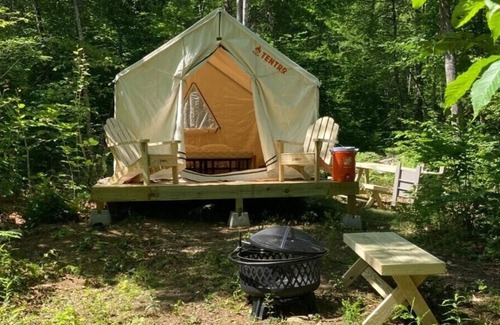 Gray RV Rental | Tentrr Signature Site - Two Eagles Campsite