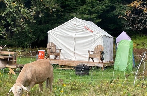 Randolph RV Rental | Tentrr Signature Site - Howling Wolf Farmstay