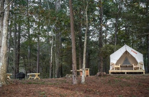 McComb RV Rental | Tentrr State Park Site - Mississippi Percy Quin State Park - Eastside Lakeview A