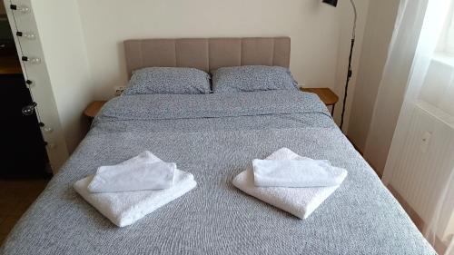 Subotica Apartment | Terminal