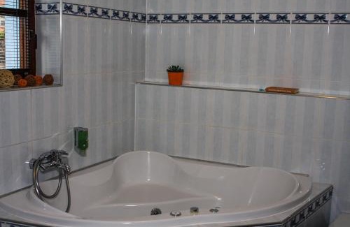 Trinec House | Terra