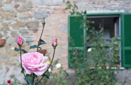 Monte del Lago House | Terrace on the Lake