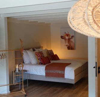 Oudeschild Bed & Breakfast | Terras kamer