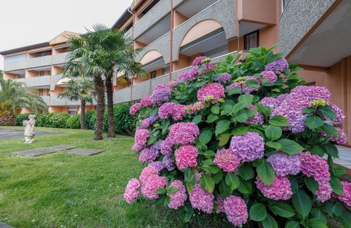 Dax Apartment | TERRASSES DE BORDA