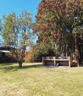 San Pedro Cabin | Terrazas San Pedro