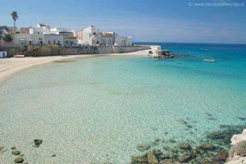 Santa Maria al Bagno Apartment | Terrazza sul mare, appartamento