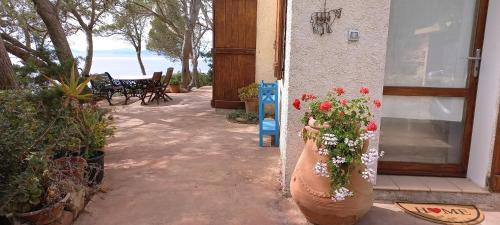 Alghero House | Terrazza sul Mare