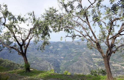 Dolceacqua Apartment | Terre Bianche Appartamenti