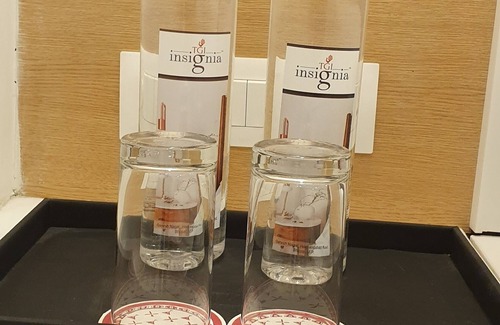 Bhopal Hotel | TGI Insignia