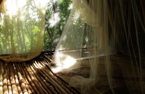 Macario Gomez Cabin | the BAREFOOT jungle loft