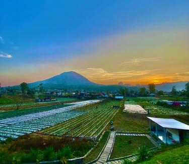 Songan Hotel | The Batur Elevation