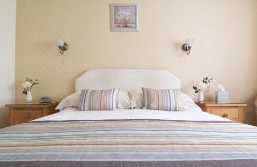 Torquay City Centre House | The Baytree - Exclusively for Adults