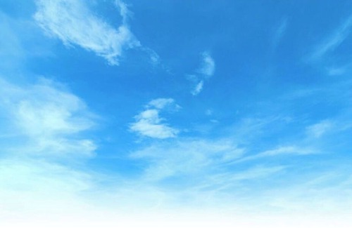 Northeast House | The Blue House - A Cozy Modern Abode in Northeast DC