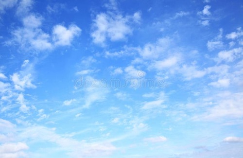 Northeast House | The Blue House - A Cozy Modern Abode in Northeast DC