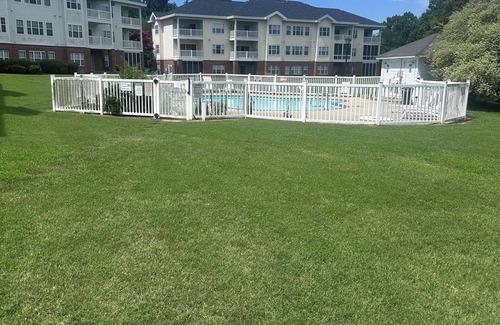 Charlotte Condo | The Blue Oasis- Charming 2-bedroom condo in cool Charlotte with AC, WiFi
