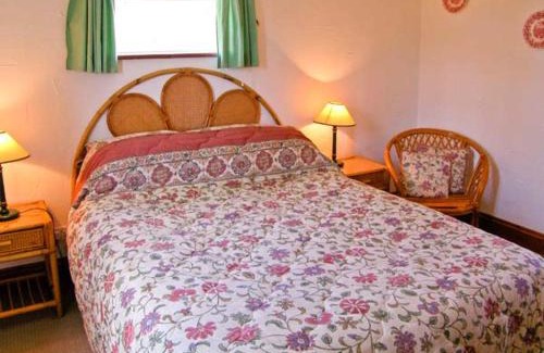 New Forest District House | The Bothy