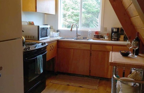 South Beach Cabin | The Cabin at Holiday Beach - Dog Friendly!