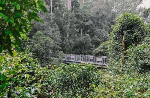 Salisbury House | The Cabin Barrington Tops Your Eco Place in Nature