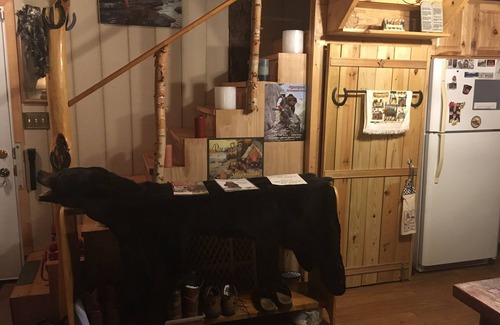 Henry Cabin | THE CABIN ON THE MAYO RIVER. SURROUNDED BY STATE PARK. PRIVATE WATERFRONTn