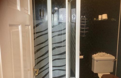 Llanllwchaiarn Hotel | The Cambrian