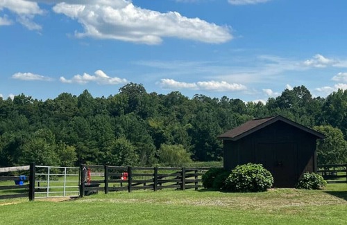 Berkeley Apartment | The Camper at The Pines Horse Farm