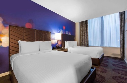 Streeterville Hotel | The Chicago Hotel Collection Magnificent Mile Sleek Standard Double Queen