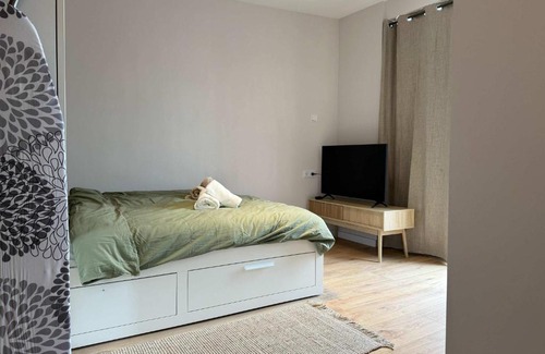 Eindhoven Apartment | The Cozy Nest Stylish and Serene City Studio