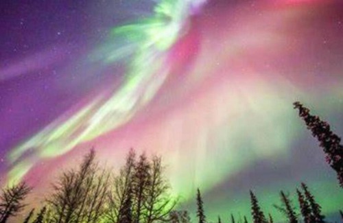 North Pole House | The Cub Cottage in North Pole AK