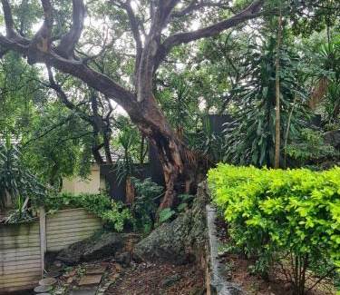 Nelspruit Apartment | The Fig Tree