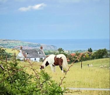 Briggswath House | The Flask Inn, Fylingdales, Whitby
