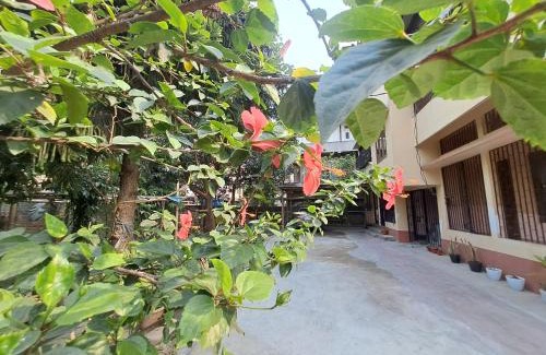 Sualkuchi House | The Gardenview